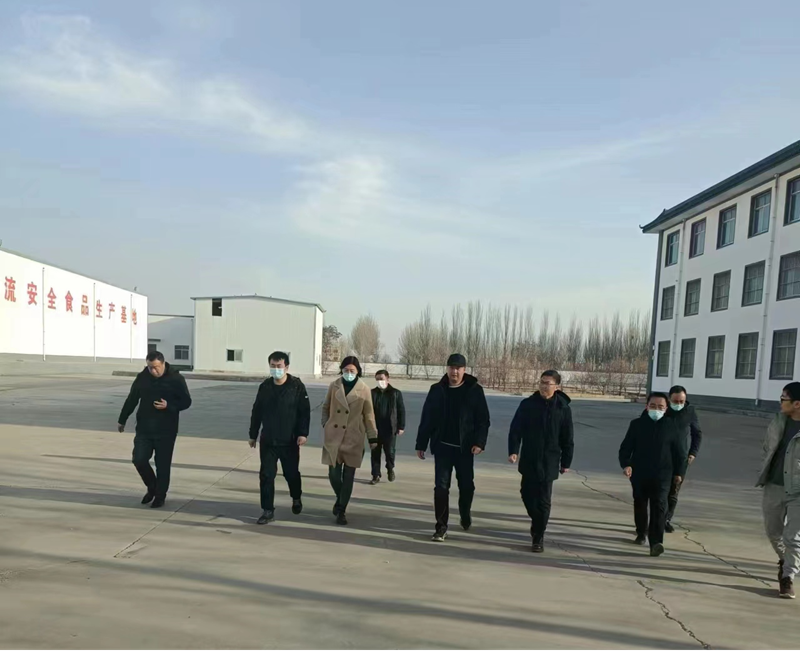 石嘴山市副市長、惠農(nóng)區(qū)委書記王宇翔蒞臨寧夏興康恒潤農(nóng)業(yè)科技發(fā)展有限公司調(diào)研