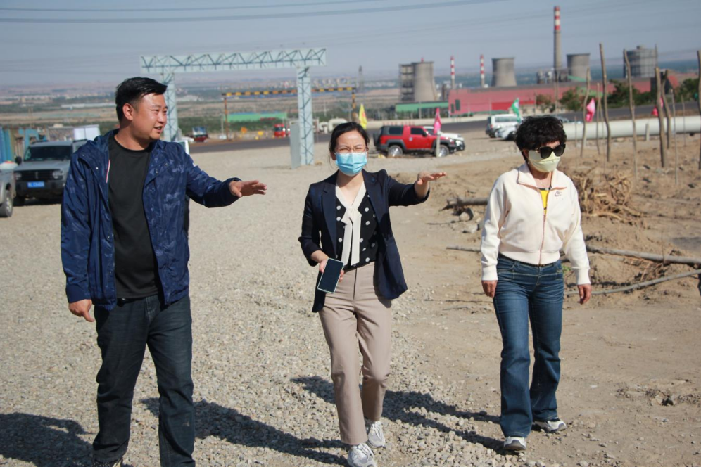 石嘴山市農(nóng)業(yè)農(nóng)村局副局長(zhǎng)徐永霞、農(nóng)經(jīng)中心主任王曉斌一行蒞臨基地檢查指導(dǎo)