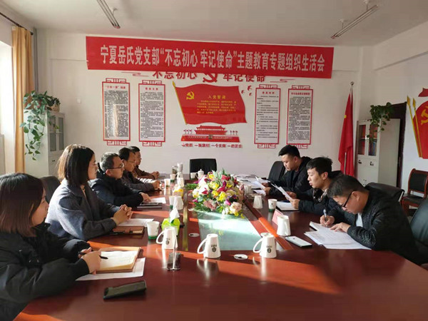寧夏岳氏黨支部召開(kāi)“不忘初心，牢記使命”主題教育專題組織生活會(huì)